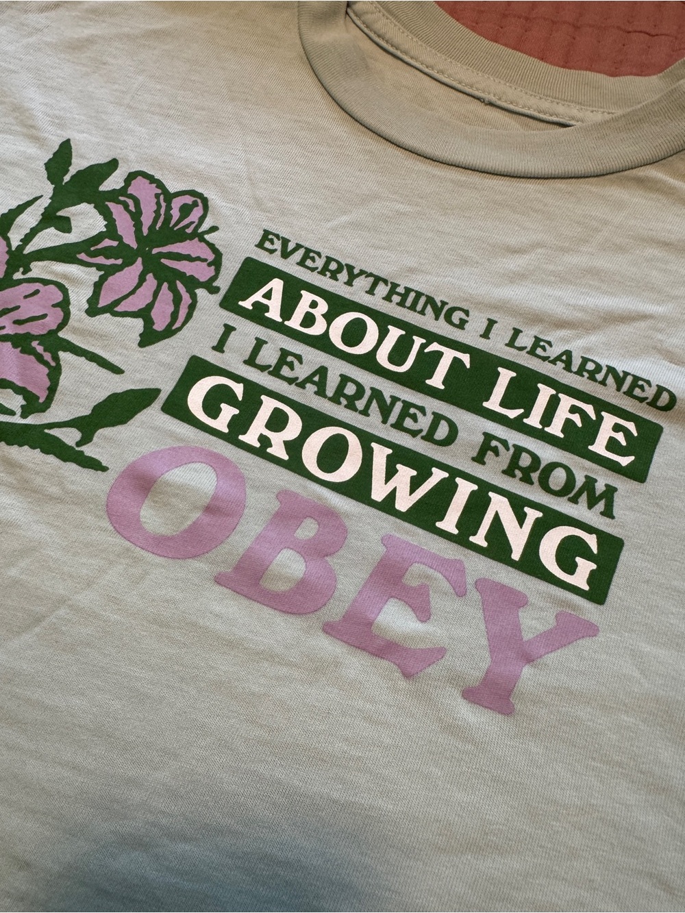 Obey Women's light mint green Graphic Tee with Green & Pink Print